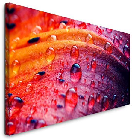 Paul Sinus Art GmbH Blütenblatt Einer Lilie mit Tautropfen 120x 50cm Panorama Leinwand Bild XXL Format Wandbilder Wohnzimmer Wohnung Deko Kunstdrucke