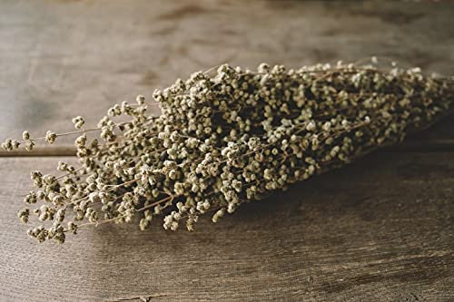 NaDeco Oregano getrocknet im Bund ca. 50 cm Getrocknete Kräuter Boho Deko Trockenblumen Deko Trockenblumen Kräuter Strauß Trockenstrauß getrockneter Blumenstrauß