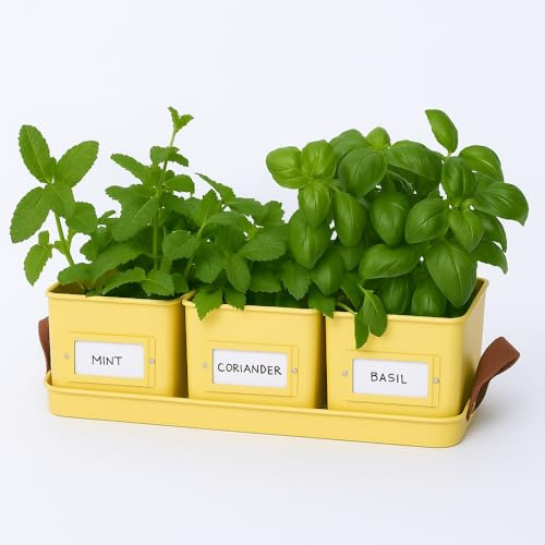 Gardening Naturally Herb Planter Set with Tray, 3 Square Steel Pots, 10.5 cm, Buttercream with Leather Effect Handles