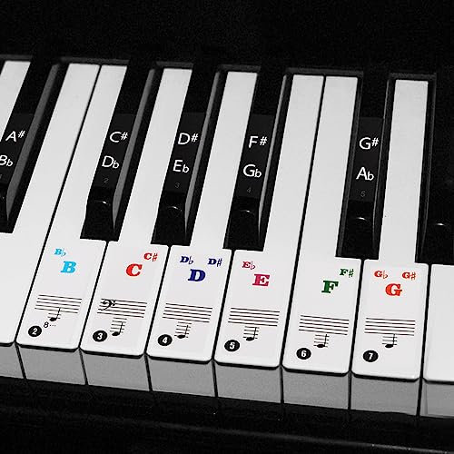 SAVITA 88 Key Piano Keyboard Stickers, Multicolor, PVC Material, Double-Layer, Removable, Piano Notes Guide for Beginner, Indoor Use