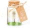 Giftota Dankeschön Geschenke Wunscherfüller, Echte Pusteblume im Glas mit Geschenkbox - Handgefertigt, Glücksbringer Geschenk für Geburtstag, Hochzeit, Weihnachten