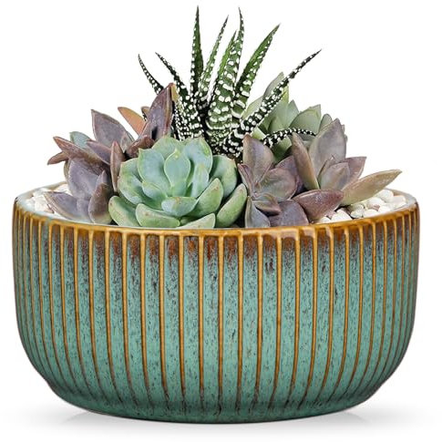 Oairse Plant Pots Indoor with Drainage Hole 6 inch Ceramic Plant Pot Grey Blue Succulent Pot Small Round Planters for Indoor Outdoor Plants Bonsai Bowl Decorative Flower Pots for Cactus Snake Plant