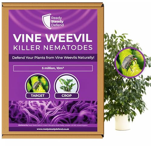 Vine Weevil Killer Nematodes for Plants 10 m² (5 million) | Organic Heterorhabditis Bacteriophora | Safe for Pets & Wildlife | Effective Root Feeding Larvae Control | Ideal for Ornamentals and Fruits