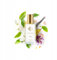 FP French Perfumes - Eau de parfum für damen - Parfüm frauen - Damendüfte - Damenduft - Damenparfum - Perfume women - Women's fragrances - Orientalisch und blumig - Nr. 179 - Paradoxxe - 33 ml