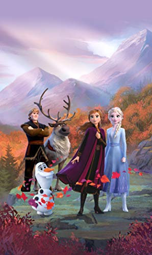 AG Design ELSA mit Freunden auf einem Bergplateau, Frozen 2, Disney, Vorhänge für Kinderzimmer, 1 Teil, Mehrfarbig, 140 x 245 cm
