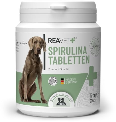 ReaVET Spirulina Tabletten für Hunde 500 Stück – Lebensmittelqualität, Mikroalge unterstützt Haut & Fell, Immunsystem & Stoffwechselprozesse, Biologischer Anbau, Vitamine & Mineralstoffe