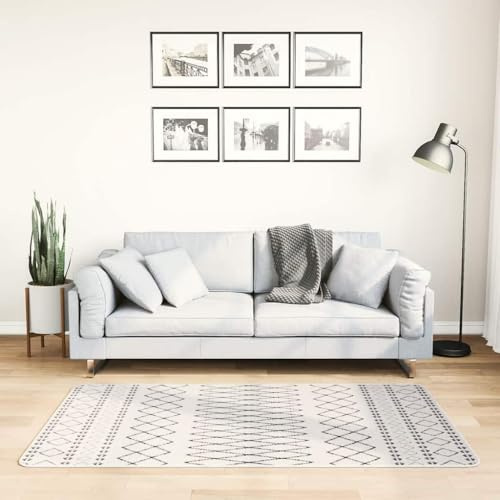 RMIHSJG Teppich Waschbar 80x150 cm Schwarz und Weiß rutschfest Samt Bodenmatte mit Schalldämmung für Wohnzimmer Schlafzimmer Dekoration