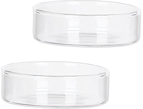 Garneck 2 Stück Dessertteller Mini Glasteller Haushalt Abendessen Heimteller Haushaltsteller Lebensmittelhalter Glas Salatteller Kleiner Glasteller