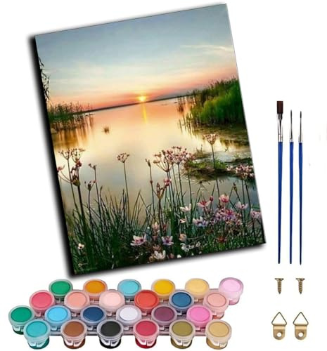 WANGWANGMIAO Peinture par Numero Adulte,Paysage de coucher de soleil sur la plage Kit de Peinture à l'Huile sur Toile Débutants Acrylique Decoration Maison Cadeau 30x40cm,sans cadre