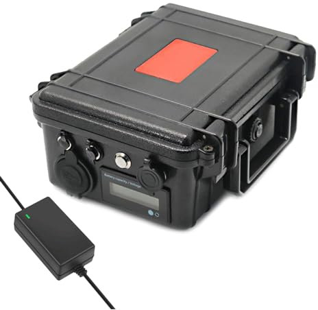 WILLQ 12 Volt Lithiumbatterie für Floßfischen, Fischfinder, 12 V 30AH 40AH Li-Ionen-Batterie, große Kapazität, Marine-Nachtangeln, Kontrolllichtbatterie mit BMS,12v30ah