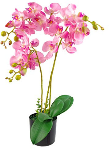 Leaf Hoja Realista orquídea Artificial diseño de Plantas UK (60 cm Grande, Rosa Claro