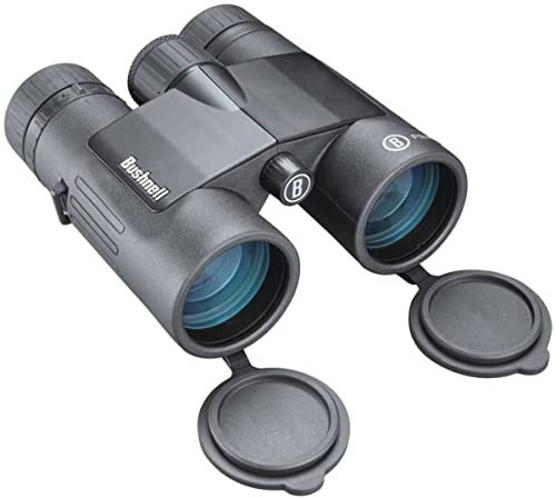 Bushnell 10X42 Prismatico Prime, Adultes Unisexe, Gris