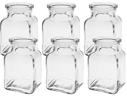 Lot de 6 mini vases carrés en verre - Petites bouteilles décoratives - Vase en verre - Vase à fleurs
