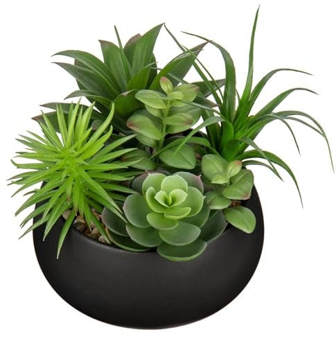 Arborus Plantes succulentes artificielles de 17 cm dans un pot en céramique noire - Plantes succulentes artificielles en pot pour bureau, maison, salle de bain, décoration d'étagère