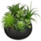 Arborus Plantes succulentes artificielles de 17 cm dans un pot en céramique noire - Plantes succulentes artificielles en pot pour bureau, maison, salle de bain, décoration d'étagère