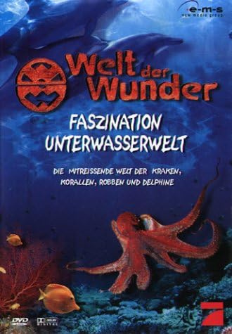 Welt der Wunder: Unterwasserwelt