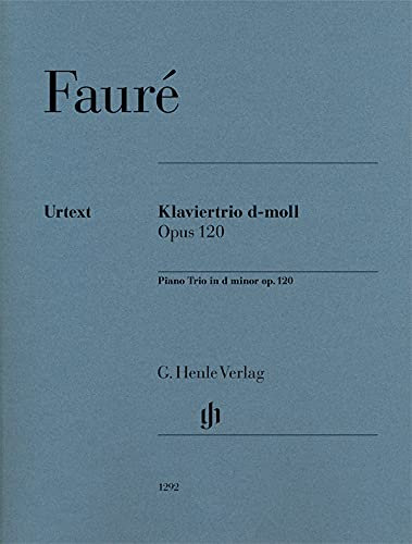 Piano Trio in d minor op. 120