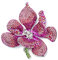 EVER FAITH Spilla Gioiello, Cristallo Austriaco Nuziale Orchidea Fiore Petalo Rosa Argento-Fondo