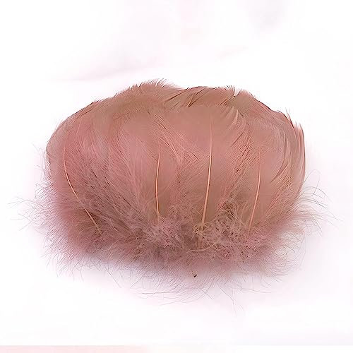 Gänsefedern Altrosa 7-12cm - 100 Stück (5g) - Hochwertige, Flauschige & Natürliche Federn für Basteln, Dekoration, DIY Projekte, Traumfänger, Schmuckherstellung & Mehr