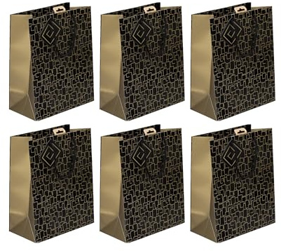 Clairefontaine 32478-2Cpack - Packung 6 Geschenktasche - Tüte Excellia, Kollektion Archi, Format L (26,5x14x33 cm), 210g, geeignet für Geschenke, Gold - Schwarz, 1 Pack