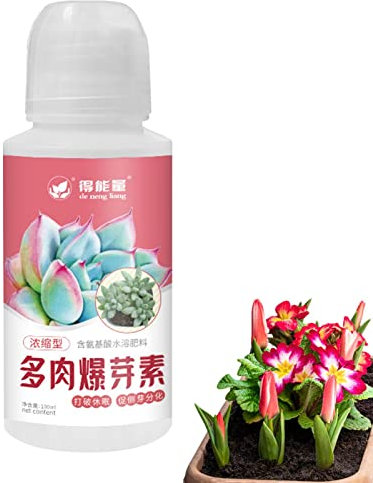 Quzente Sukkulenten Wurzel Booster Flüssigkeit, 100 Sukkulenten Wurzel Booster Flüssigkeit, Schnell Und Einfach Dosierbare Sukkulenten Nahrungsmittelflüssigkeit Geeignet Für Eine Vielzahl Von
