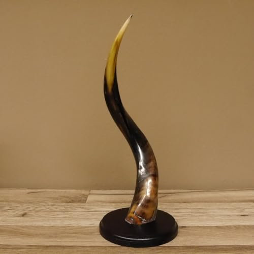 GTK - Geweihe & Trophäen KRUMHOLZ 1 Stück Kudu Aussenhorn glanzpoliert Mini auf Ständersockel H 38 cm 80.20.5.3