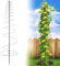Rankgitter für Kletterpflanzen, 170cm Garten Rankhilfe Robustes aus Metall Rankgitter für Kletterpflanzen, Gemüse Blumen Pflanzen Rebe Unterstützung, Outdoor Wachstumsnetz