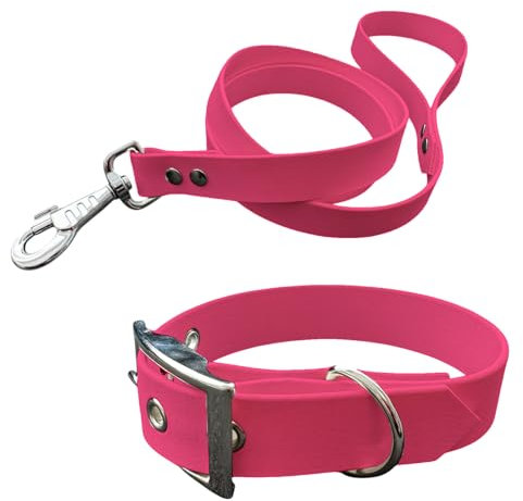 Collier et Laisse pour Chien en matière BioThane, Largeur Moyenne (40-45 cm, Rose Fluo)