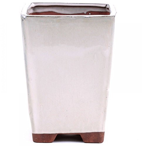 Bonsai - Kaskadenschale 14 x 14 x 19 cm, cremefarben 50044