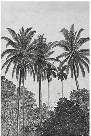 Papier peint panoramique Palmiers Noir et Blanc Revêtement Mural Intissé Facile à poser 280 x 200cm Gris, Noir