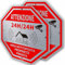 Cartello area videosorvegliata 24H per ragioni di sicurezza 20cm x 20cm in Alluminio - 2 Pz CCTV Cartello Videosorveglianza- Ashoaza Cartelli videosorveglianza per negozio e proprietà privata