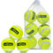 Nobleza Hundeball, 6 Stück Hundespielzeug Ball, Bouncy und Durable Hundespielzeug Tennisbälle mit Mesh Tragetasche für Aggressive Kauer Kleine Mittelgroße Hunde, Ø 6,35cm