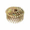 DEWALT DNR3119GZ Coil Nail DNR 19 mm 7.2 KST. Galv, Multicoloured