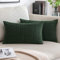 MIULEE Kissenbezug 30x50 Dunkelgrün Sofakissen Kordsamt Kissenbezüge Rechteckig Cord Dekokissen Kissenhülle Dekorativ Couchkissen Bezug Weich für Wohnzimmer Schlafzimmer 12x20 Inch 2er Set