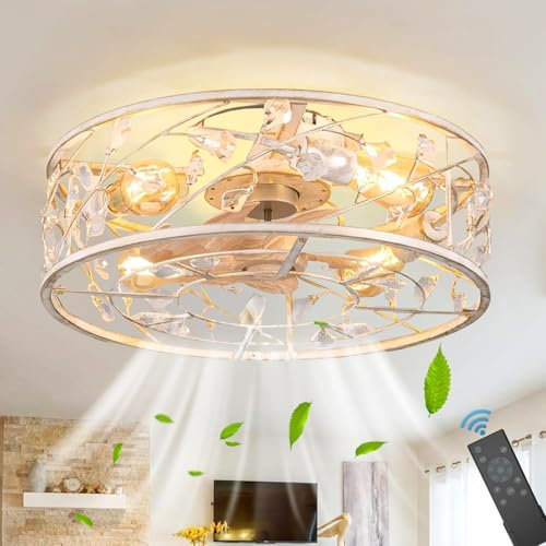 Ventilatore da Soffitto Silenzioso con Luce e Telecomando E27 Retrò Fan Plafoniera in Cristallo Industrial Vintage Gabbia in Metallo Lampadario per camera da letto soggiorno Ristorante illuminazione