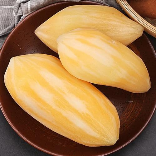 yaconsamen - yacon - winterharte kübelpflanzen exotische säulenobstbäume zimmerpflanzen 85pcs