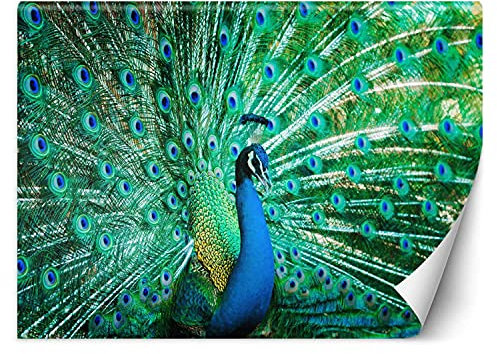 Feeby Wandtapete Fototapete Vlies Tier Pfau Vogel 250x175 cm Grün Modern Tapete Wohnzimmer Schlafzimmer Gefiedert Schwanz Natur