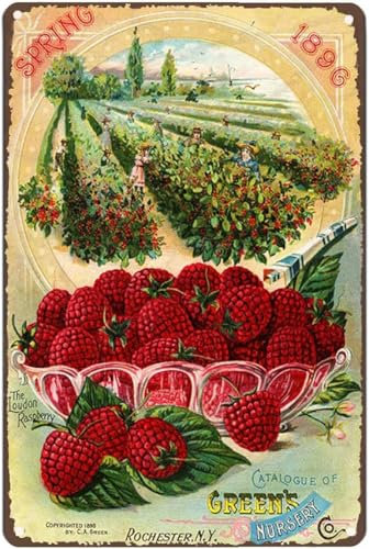 ACDOET Vintage-Aluminium-Metallschild, Vintage-Küche, Obst-Kunstdruck, Poster, Kochen, Lebensmittel, Bauernhof, Ernte, Illustration, Gemälde, Heimdekoration, Bar, Café, Pub, Club, Wanddekoration,