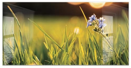 timalo Küchenbild aus Acrylglas modernes Wandbild Glasbild Deko Küche XXL Acryl-Bild wie Glas | 100x50cm Wiese Blumen Natur, grünes Gras