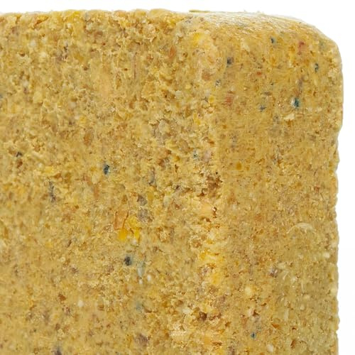 BusyBeaks Suet Fat Blocks | Premium Grade Garden Wild Bird Food | Enhanced Formula | Naturally Blended High in Energy & Protein-Rich Feed | Full of Nutritious Fat Fibre & Moisture (Worm & Insect, 5)