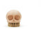 Chupa Reino Unido | Cepillo de Calavera | Cepillo para Zapatos o Botas de Madera | Cepillo de fregado Suave para Limpiar la Cocina | Cepillo de uñas decoración gótica | Regalos de Calavera