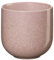 ASA coppa Hanami 2er Set Teebecher 0,2l