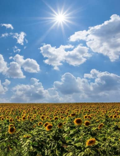Sunny Sun Flowers Notebook: 250 Pages of 8.5x11 Blank Wide Ruled Notebook, Journaling Space. Creative Writing, Logging, Tracking, Diary, Goals, Dreams
