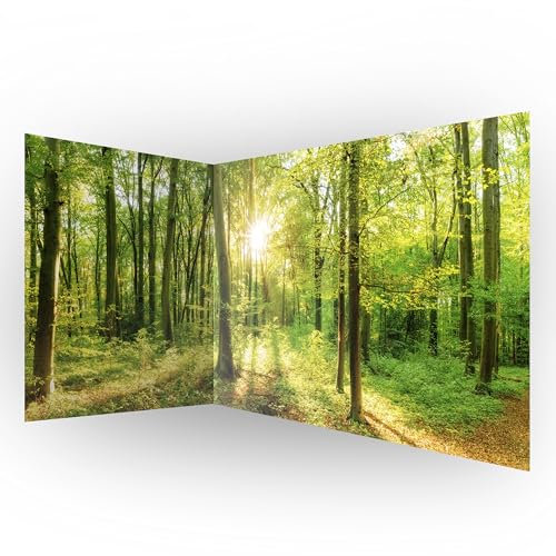 murando Eckfototapete Wald 550x250 cm Vlies Tapeten Wandtapete XXL Moderne Fototapete Wanddeko Design Wand Dekoration Wohnzimmer Schlafzimmer Büro Flur Landschaft Natur grün Baum b-B-0383-a-a