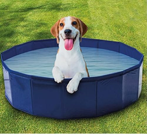 Blue PVC Shell With Wooden Plank Pet Paddling Pool (80 cm x 21 cm) Single Piece - Safe & Easy to Setup, Perfect for Summer Fun
