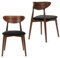 Konsimo Rabi 2 Esszimmerstühle Set - Modern Holzstuhl 79x45x47cm - Küchenstühle - Stuhl Esszimmer, Küche, Wohnzimmer - Universal Esstisch Stühle mit Weicher Polsterung - Schwarz/Mittlerer Nussbaum