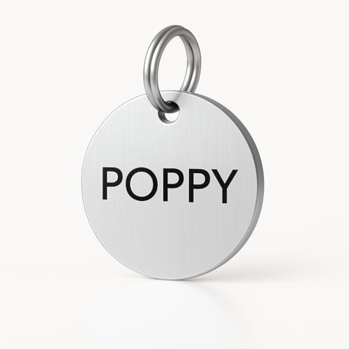 Personalised Dog ID Tag, Dog Tags for Pets Engraved UK Stainless Steel Round Name Disc for Dogs and Cats, Medium, Waterproof, UK Legal, The Stately Hound (Silver, Medium: 25mm)