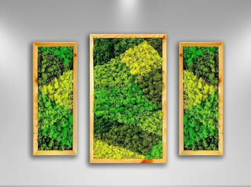lagom, Grünes Wandbild, Moos, konserviertes Moos, Wandkunst, handgefertigt, Heimdekoration, Naturholzrahmen, 3er-Set, schwarzer Rahmen (Naturholzrahmen, 1)