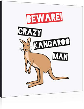 Gift Base Attention Fou Kangourou Homme Décoration Murale Panneau Cadre Photo