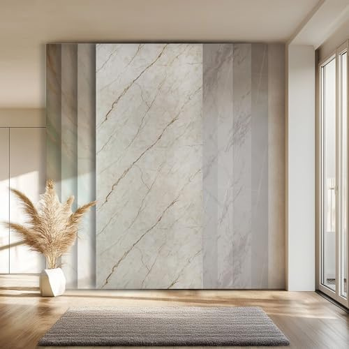 HEXIM Marmorplatten Optik 4 Stück 280x122 cm SPC Kunststoff Innen & Außenbereich Granit Steinoptik - Duschrückwand Küchenrückwand Spritzschutz Küchenverkleidung (13,66 m² 8088) A-Serie